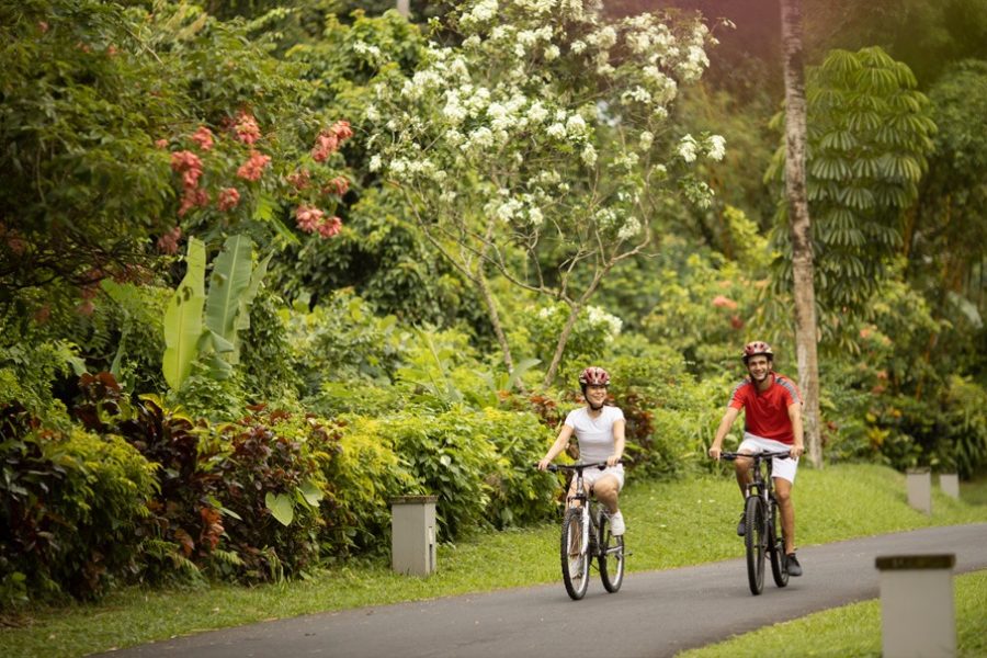 ubud-cycling-6